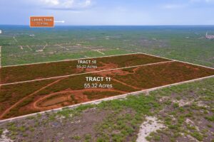 Retama Creek Ranch_2
